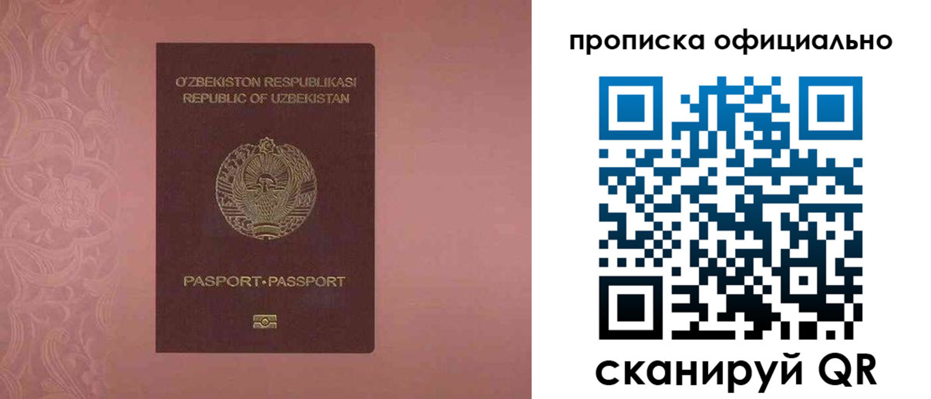 прописка гарантия в Зверево